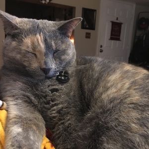 Meet your Posher, Nina